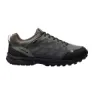 Castor grey