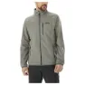 Castor grey