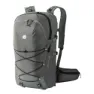 Castor grey