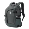 Castor grey