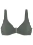 Olive 1