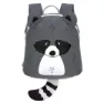 Racoon