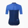 Navy/electric blue