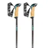 LEKI Cressida As Stöcke, Brown metallic / chocolate brown metallic / mint, 90-125cm