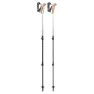 LEKI Jannu Stöcke, White / smokegreen / silver, 90-125cm