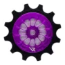 Leonardi Racing Superior Sram Eagle Schaltrolle