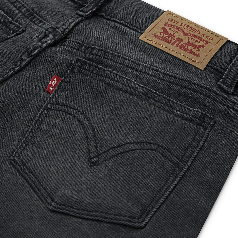 Levi's 3eg381 Hosen Levi's 3eg381 Hosen