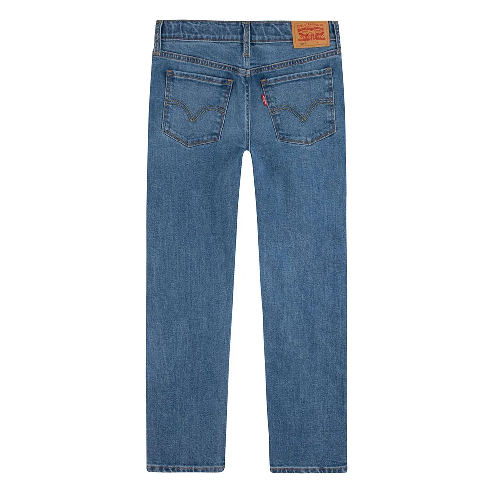Levi's 501 Original Jeans Hosen Refurbished, Athens without destruction, 16Y