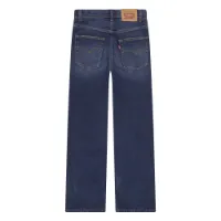 Levi's 555 Relaxed Straights Hosen