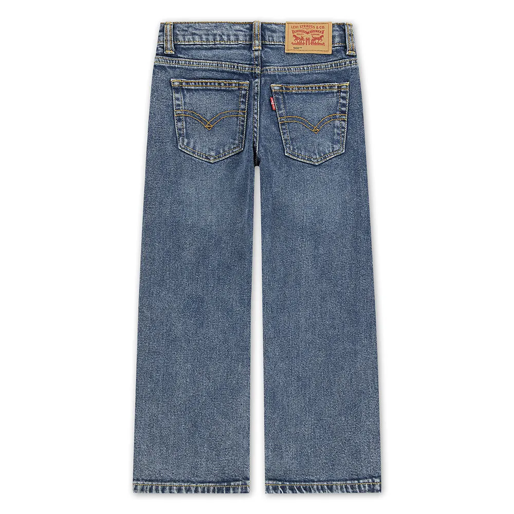 Levi's 555 Relaxed Straights Hosen Levi's 555 Relaxed Straights Hosen