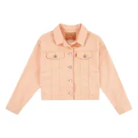 Levi's Baggy Trucker Jacke