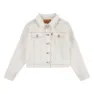 Levi's Baggy Trucker Jacke