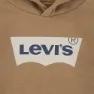 Levi's Batwing Screen Print Kapuzenpullover