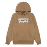 Rodeo brown