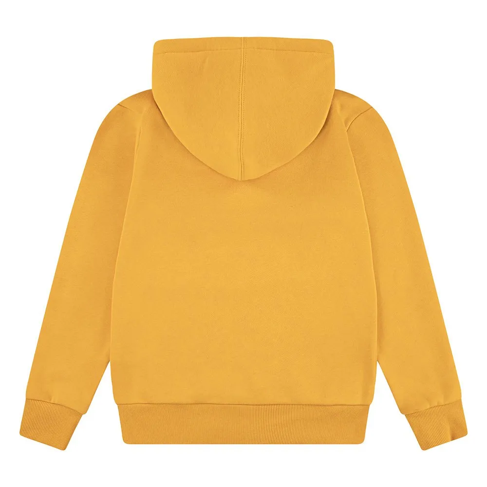 Levi's Batwing Screenprint Kapuzenpullover Levi's Batwing Screenprint Kapuzenpullover