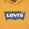Levi's Batwing Screenprint Kapuzenpullover