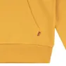 Levi's Batwing Screenprint Kapuzenpullover