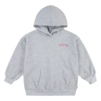 Levi's Collegiate Kapuzenpullover