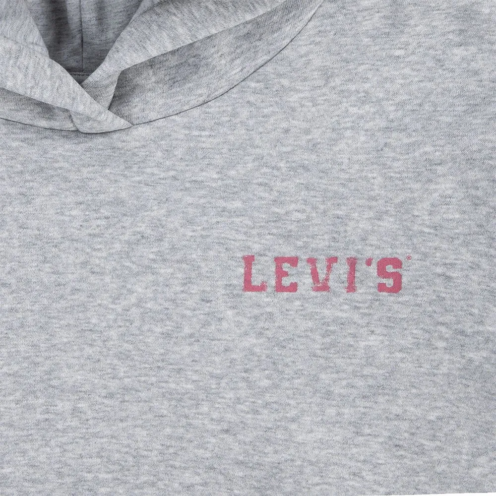Levi's Collegiate Kapuzenpullover Levi's Collegiate Kapuzenpullover