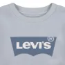 Levi's French Terry Batwing Sweatshirt, Niagra mist, 16Y