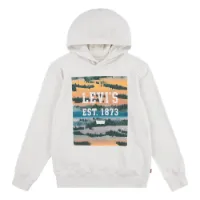 Levi's Landscape Box Kapuzenpullover Levi's Landscape Box Kapuzenpullover