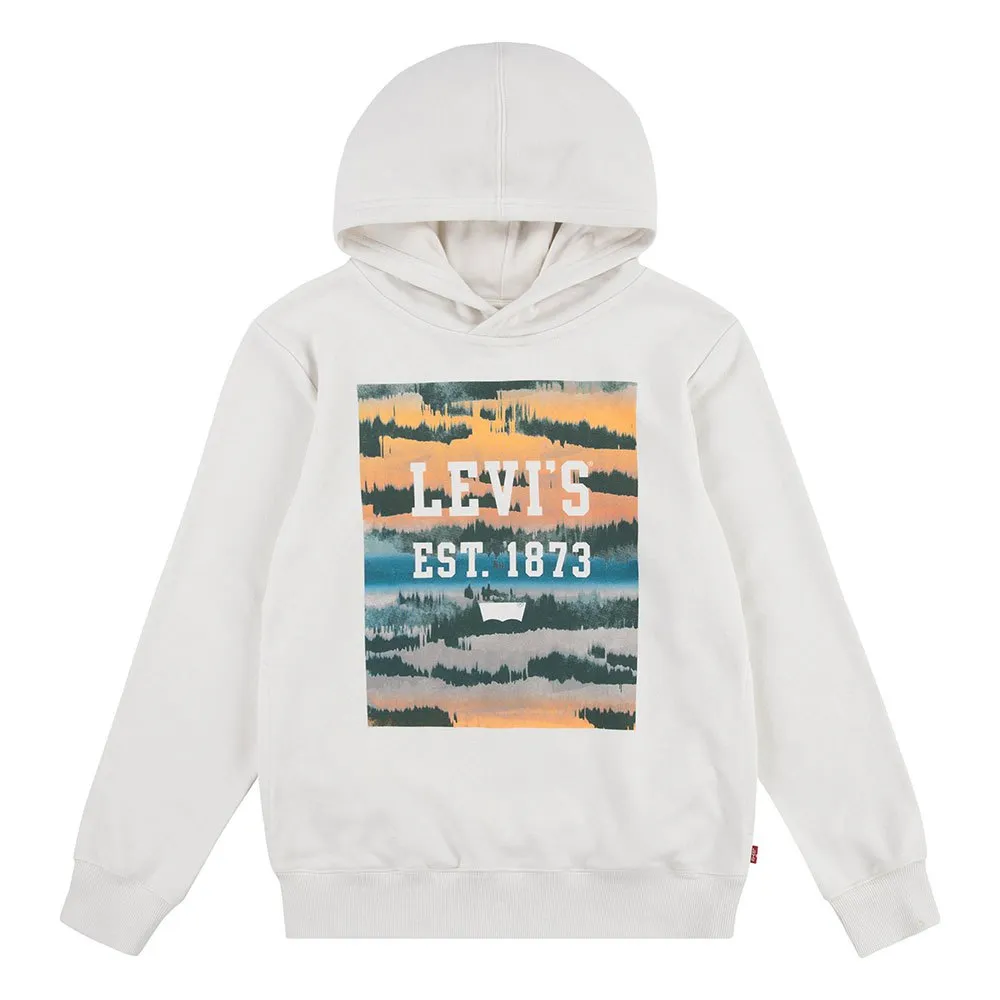 Levi's Landscape Box Kapuzenpullover Levi's Landscape Box Kapuzenpullover