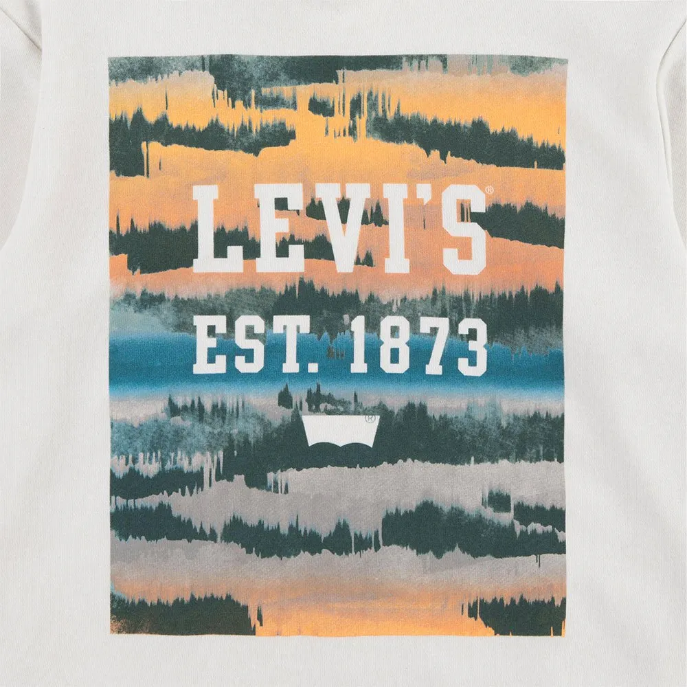 Levi's Landscape Box Kapuzenpullover Levi's Landscape Box Kapuzenpullover