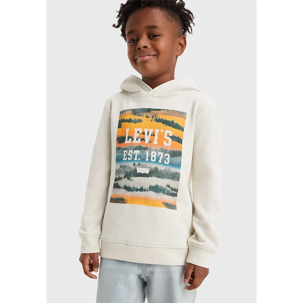 Levi's Landscape Box Kapuzenpullover Levi's Landscape Box Kapuzenpullover