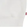 Levi's Landscape Box Kapuzenpullover