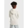 Levi's Landscape Box Kapuzenpullover