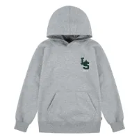 Levi's Monogram Kapuzenpullover Levi's Monogram Kapuzenpullover