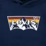 Levi's Mountain Batwing Kapuzenpullover