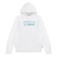 Levi's Palm Batwing Fill Kapuzenpullover