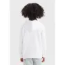 Levi's Palm Batwing Fill Kapuzenpullover