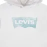 Levi's Palm Batwing Fill Kapuzenpullover