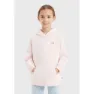 Levi's Pullover Kapuzenpullover