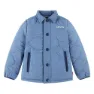 Coronet blue