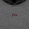 Levi's Relaxed Fit Colorblock Kapuzenpullover