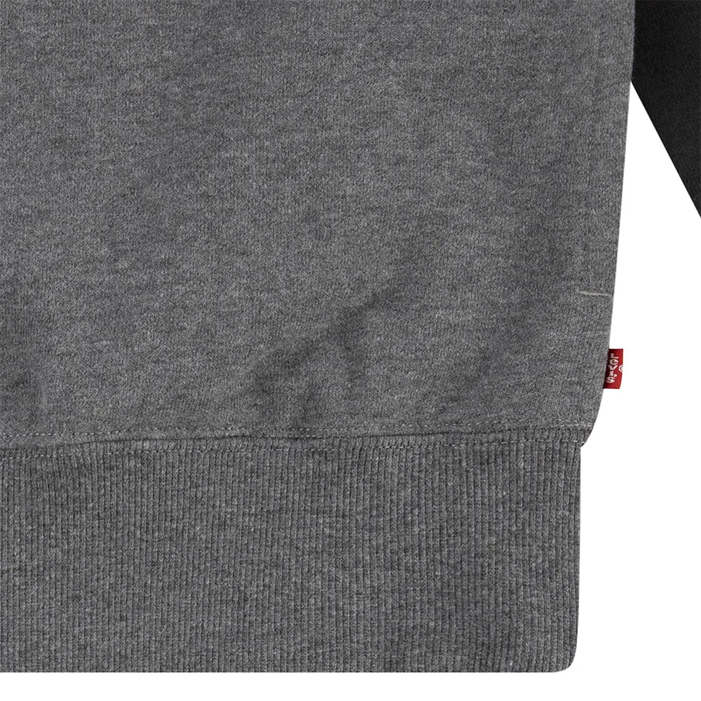 Levi's Relaxed Fit Colorblock Kapuzenpullover Levi's Relaxed Fit Colorblock Kapuzenpullover