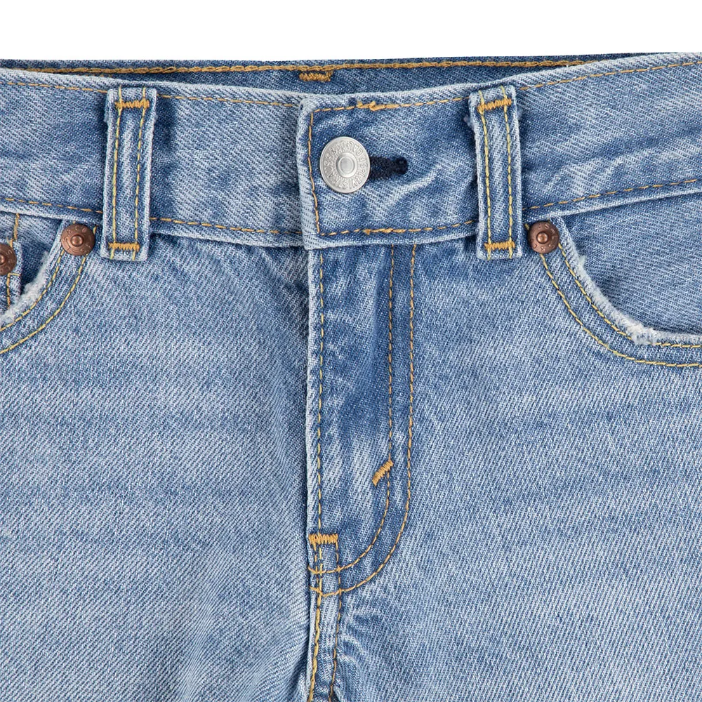 Levi's Skates Kurze Hose Levi's Skates Kurze Hose