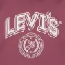 Levi's Stripe On Kapuzenpullover