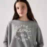 Levi's Western Bubble Langarm-t-shirt
