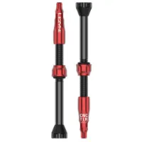 Lezyne Tubeless Ventile Lezyne Tubeless Ventile