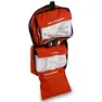 Lifesystems Traveller Erste-hilfe-kasten, Red, One Size