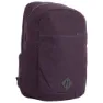 Aubergine