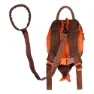 Littlelife Dinosaur 2l Rucksack, Red