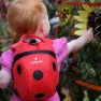 Littlelife Ladybird 2l Rucksack, Red