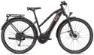Liv Amiti-E+ 2 rosewood 28" 500 Wh Trapez