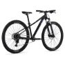 Liv Tempt 2 29´´ Cues Rd-u4000 2024 Mountainbike