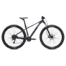 Liv Tempt 3 29´´ Acera Rd-m3020 2025 Mountainbike